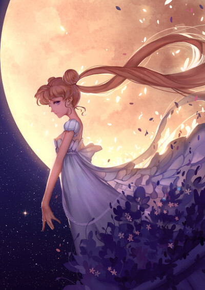 Sailor Moon | 韩一杰 [pixiv]