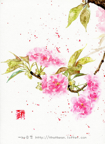 水彩插画——樱花