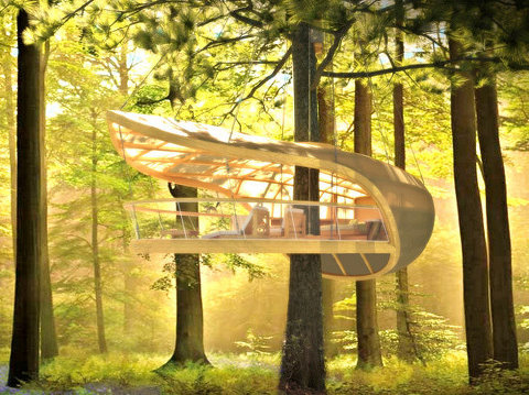 如果条件允许，你是否也想搭建一间小树屋，聆听大自然的声音