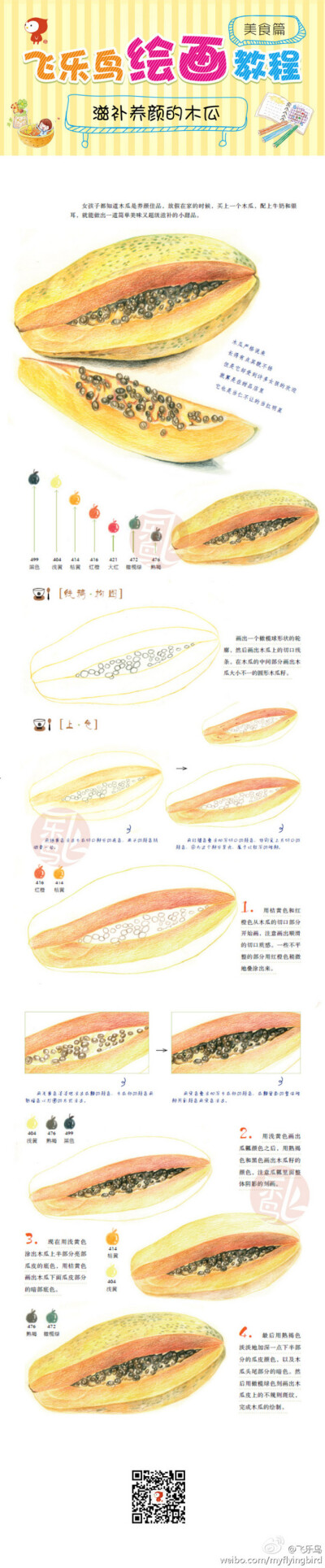 【绘画教程】滋补养颜的木瓜