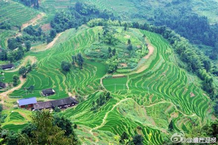 四川乐山东风堰、浙江丽水通济堰、湖南新化紫鹊界梯田及福建莆田木兰陂昨日被列入首批世界灌溉工程遗产名录。世界灌溉工程遗产由国际灌溉排水委员会(ICID)从今年开始评选。第22届国际灌溉排水大会暨国际灌溉排水委员会(ICID)第65届国际执行理事会近日在韩国光州举行，全球共有17处灌溉工程列入名录。