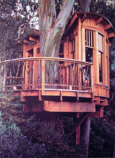 Tree House