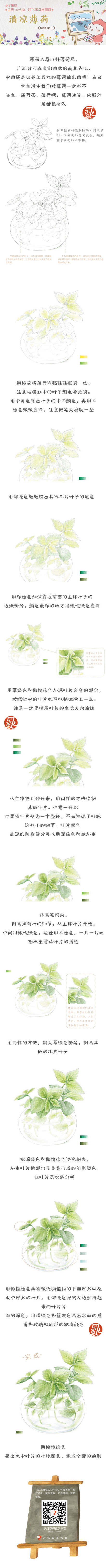 #每天10分钟，跟飞乐鸟学画画# 清凉薄荷，食用观赏两不误！论怎样表现透明玻璃缸的质感！