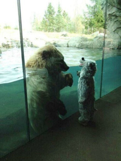 小孩子穿上小熊装去动物园，园里的熊一直看著小孩，还和小孩打招呼。有点萌哒哒的感觉啊/net