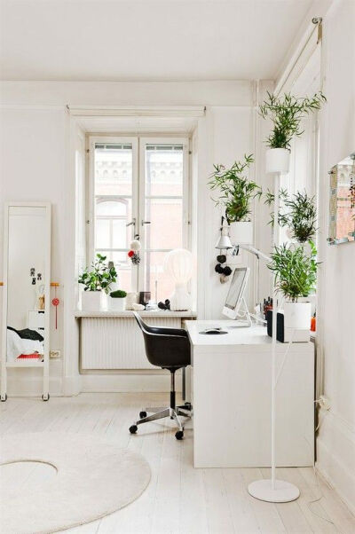 White office #sistermag with hanging green pots