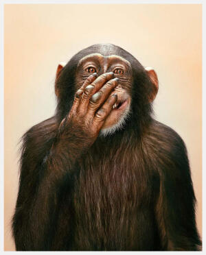 喜感。摄影师：Randal Ford。