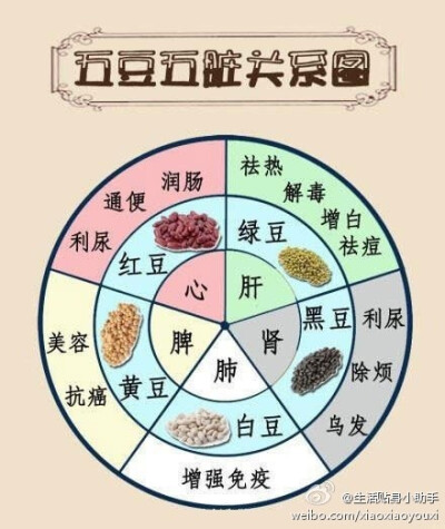 【豆类与五脏关系】一张图让你看懂红豆、绿豆、黄豆、黑豆、白豆和五脏的关系。