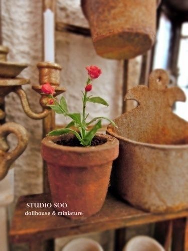 Planters in a junk furniture shop by studio soo, via Flickr