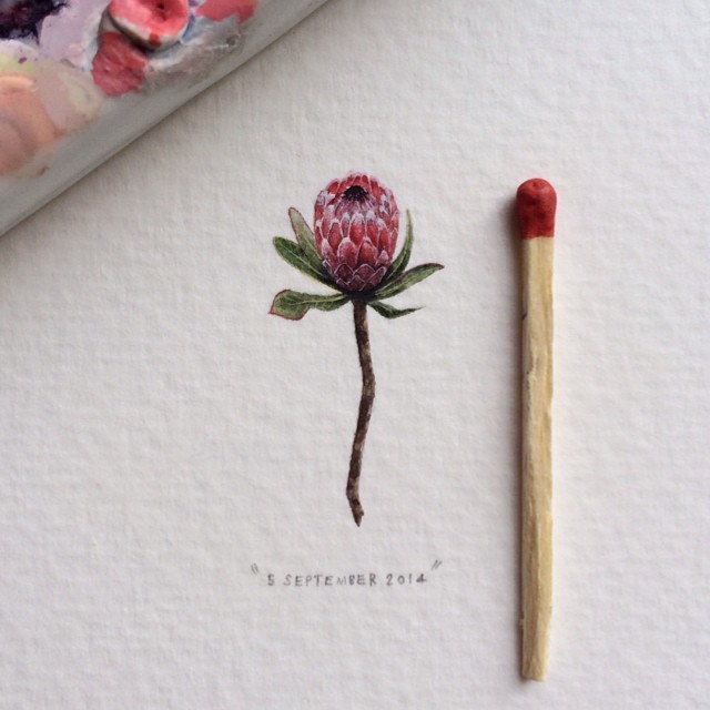 Postcards for Ants-- Lorraine Loots的微型插画作品