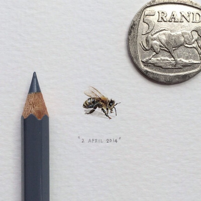 Postcards for Ants-- Lorraine Loots的微型插画作品