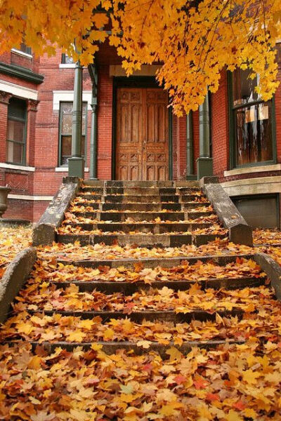 This threshold is wearing her autumn best, with a little help from Mother Nature. Beautiful contrasts. -- Eve.