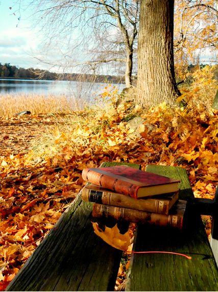 Beautiful Good idea for an autumn shoot . I love the composition of this photo apart from the lead on the bench.