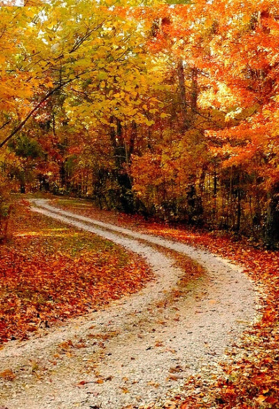 This is on my bucket list.... To drive down an old country road in the fall and have someone take a picture behind you so you can see all the leaves flying up... I know I'm weird!! Lol