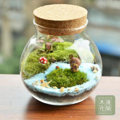 木莲花开苔藓微景观 创意DIY求艳遇帅锅小熊圆肚木塞玻璃罩瓶