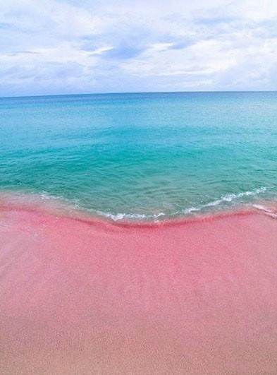 世上独一无二的粉色沙滩 巴哈马哈勃岛东侧的Pink Sands Beach