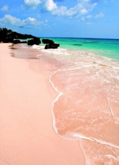 世上独一无二的粉色沙滩 巴哈马哈勃岛东侧的Pink Sands Beach