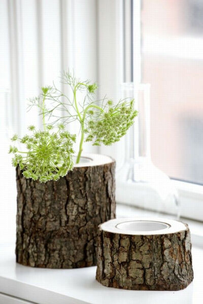 Tree Trunk Vases//