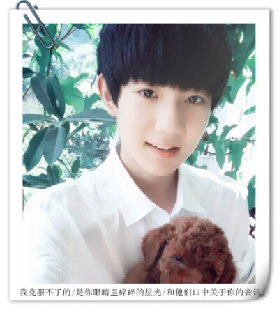 #说给王源听# @TFBOYS-王源 爱上一朵未名的花，爱上它源源生长的枝桠。【文字cr：德卡先生的信箱】