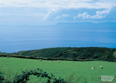 西科克拥有爱尔兰最与众不同的一些景点，其中最吸引人的就是它崎岖不平的绵长海岸线和广袤的金色沙滩。