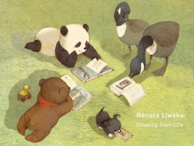 Renata Liwska、Art、熊猫、小狗 小猫 动物、熊