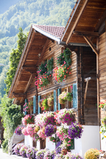 转身离开♥、清新、花、异域美景、旅游