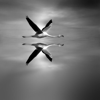 coffeenuts: Ocean Mirror by Josep Sumalla - http://ift.tt/1tLIqg7