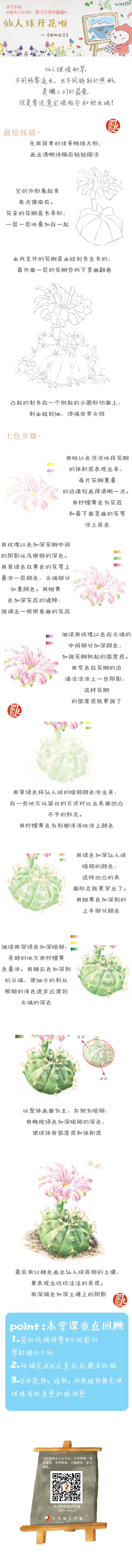 仙人球开花