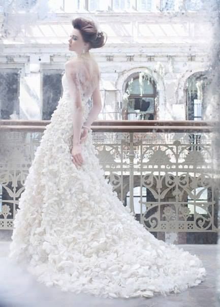 Lazaro | Bridal