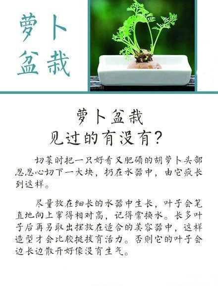  【简单有实用的盆栽制作大法】只需一个容器，一些平常吃剩的水果或蔬菜，再加一点点的耐心和心思，就可以养育出一盆绿意盎然的盆栽，为你的生活增添无数的诗意。赶快试一下吧！！！ -转