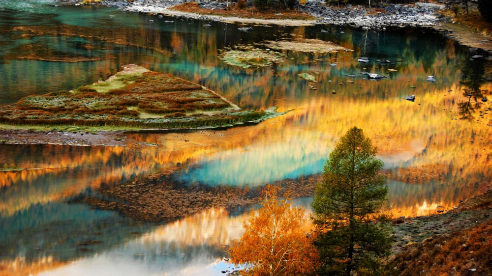 秋意浓，秋分至 AutumnTrees