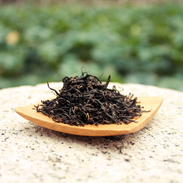 小赤甘一级50g古早茶堂正山小种红茶高山有机野茶甲午年