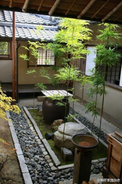 幽寂之美。日式庭院。