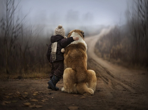 孩子与动物的温暖瞬间。女摄影师Elena Shumilova记录下两个儿子和农场里小动物相处的有爱瞬间。