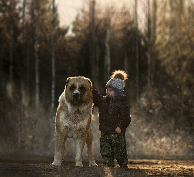 孩子与动物的温暖瞬间。女摄影师Elena Shumilova记录下两个儿子和农场里小动物相处的有爱瞬间。