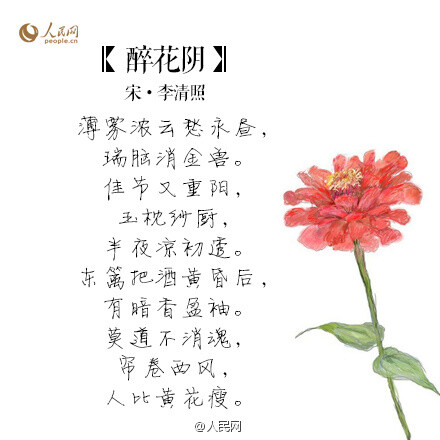 人比黄花瘦。《醉花阴》李清照。