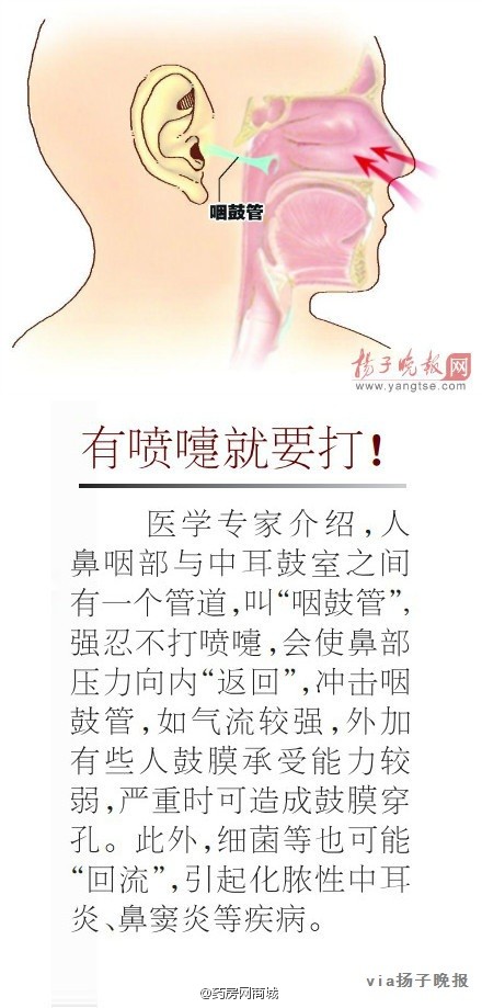 #打喷嚏别忍# 【打喷嚏不能忍！强忍喷嚏会致『鼓膜穿孔』】喷嚏的气流速度约等于15级台风。@扬子晚报 ：国庆节期间小陈参加闺蜜婚礼，作伴娘的她在陪新人迎宾时突然想打喷嚏，便用手捏着鼻子忍住。没想到当晚她的耳朵开始疼痛难忍，到医院检查后发现，竟是鼓膜穿孔。有喷嚏就要打！千万别忍着！