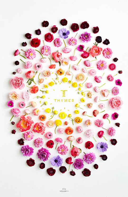 Thymes 2014 Ann Mer...