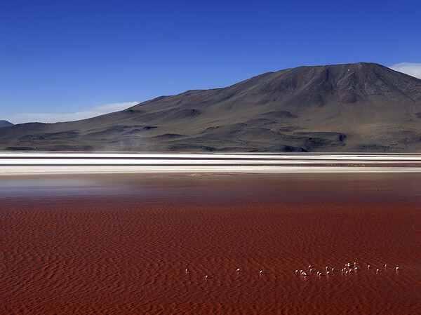 Laguna Colorada Photograph by Dharshana Jagoda, National Geographic Your Shot