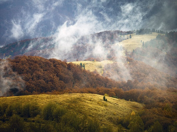 Over the Misty Mountains Photograph by Volodymyr Zinchenko, National Geographic Your Shot