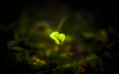 #励言#记忆像是倒在掌心里的水，不论你摊开或是紧握，终究还是会从指缝中一滴一滴流淌干净。