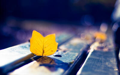 #警言#不要用你的认为，去套住别人的思维。