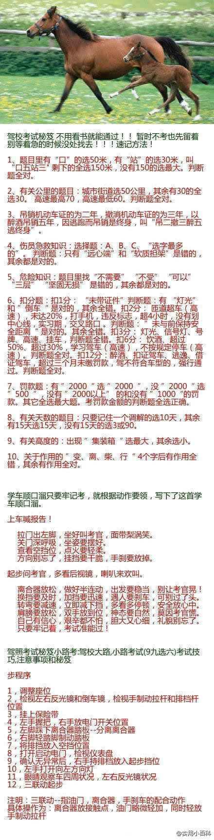 驾校考试秘笈，不用看书就能通过！！送给你身边现在或将来要学车的朋友吧?。ㄗ? id=