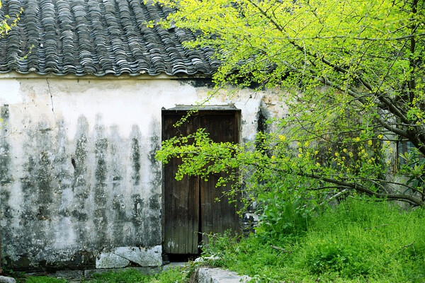 【美丽的中国】杨湾，老宅。