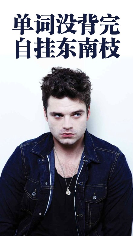 #sebastian stan# 自制正能量屏保，1920*1080尺寸~~~还不快滚去学习