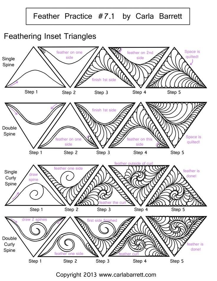 Feather Practice 7.1 by Carla Barrett