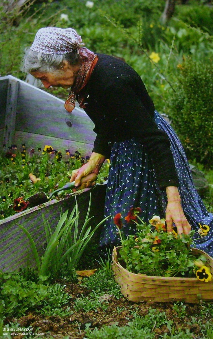 现在，就是最好的时光 | Tasha Tudor(塔莎·杜朵)