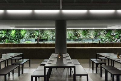 #品.创意#它围着厨房是插入该装修40馆开放空间的四面墙。几个Windows穿过植物表面的透视空间从一边到身边的建筑。