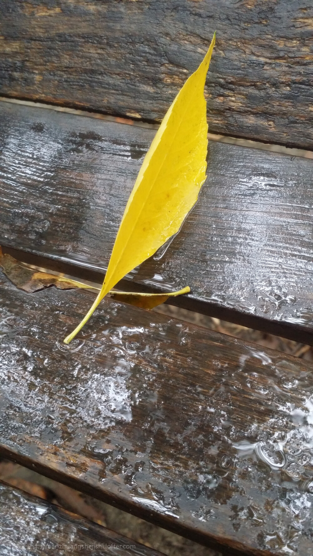 最美的时节，是你伤感时陪你微笑的表情，如秋叶，如葬花，如霜，如月，而我无华！