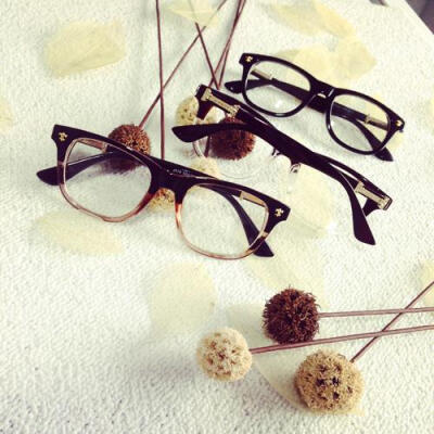 SueSan home 眼镜 欧美经典大牌韩国复古半透方框眼镜 框架眼镜