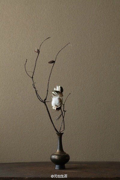 日本的花道中，无论是春华秋实，还是嫩芽枯枝，都称之为花。他们认为，花有这种突然开和突然落的神奇，是因为有花灵在四处流窜，所以哪怕是枯萎，它也有一种从形走向神的自由之美。丨花艺:川濑敏郎